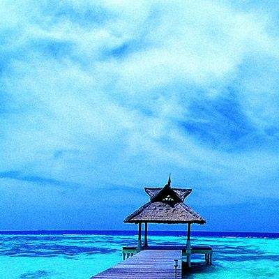 威尼斯澳门人下载手机版