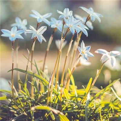 金年会app下载官网官方入口