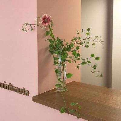 半岛官方APP入口