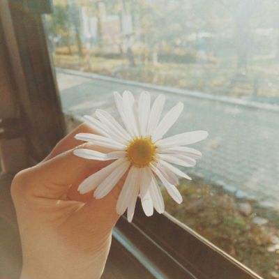 BOB半岛·中国官方网站入口